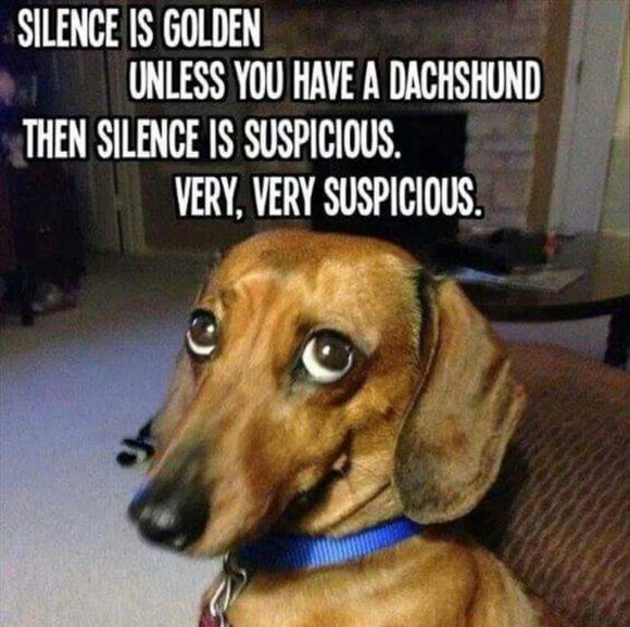 隆♀️Meet your Posher, Stefani隆♀️ - Picture 3 of 5